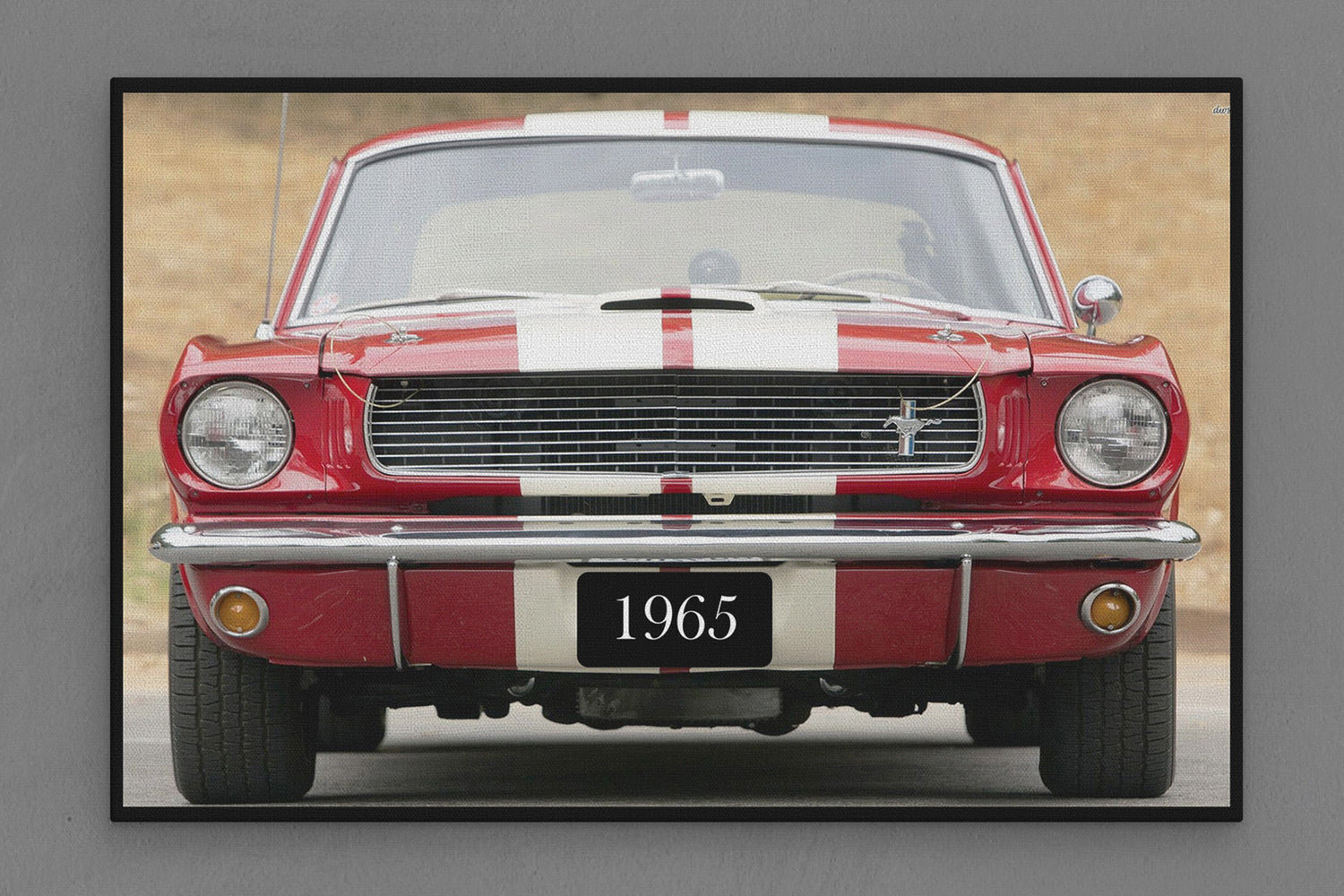 Automotive Mustang Images